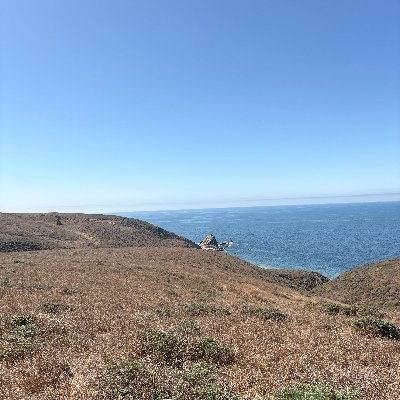 smine221's profile picture. learning