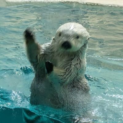 madanemukunaiy0's profile picture. 静岡で開業予定