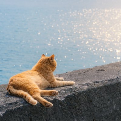 IqPtFSKleA33332's profile picture. BMSG推しのSTARGLOW💫強化/TAIKI/ADAM/KANON/RUI/GOICHI/いいねするアカウント/無言フォロー失礼します😌