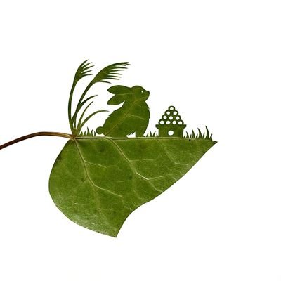 オンラインゲーム「マビノギ」3鯖でプレイ中です。マビでやリアのつぶやき、きれいな景色や花、作品が好きでRTしています。無言フォロー失礼します。
アイコンはリト@葉っぱ切り絵@lito_leafart様、ヘッダーはICOI.様@kuragesaibouです。