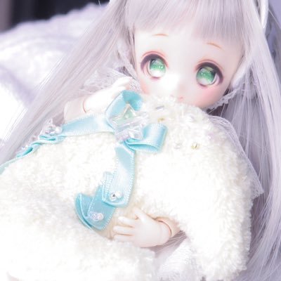 roimaさんのプロフィール画像