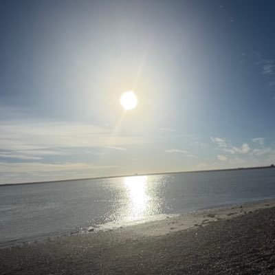 gelymor21's profile picture. 