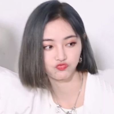 helloqiqii's profile picture. 🐰 🦊