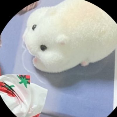 C5Obk's profile picture. 推しとか何でもかんでも いろいろ好き
