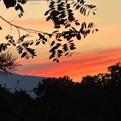 soulshellb's profile picture. 🇺🇸United we stand. Peace, love &happiness ✌🏻❤️😊acceptance and a fair chance to achieve our goals. Kindness. be Independent not part of a political cult