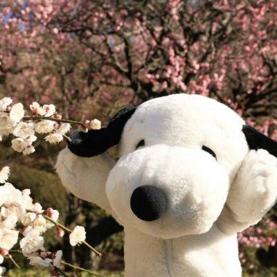 Tart4aletaa's profile picture. No se a veces utilizo esto como un diario