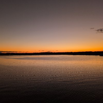 wajhiulla's profile picture. 