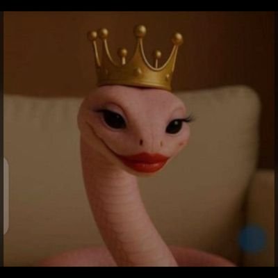 khand_dee1's profile picture. I don’t chase. I don’t entertain freeloaders.
If you’re real, you prove it with tribute first — no excuses, no “tests.”