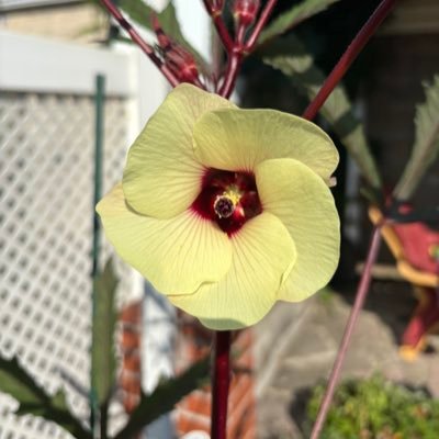 Just_Bea_27's profile picture. Former Int'l Trade Atty, currently SAHM