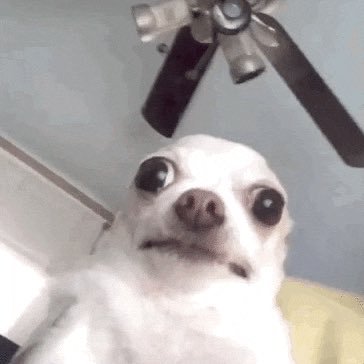 vivsavag3's profile picture. have a good time, all the time