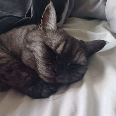 Kaden_potski's profile picture. 