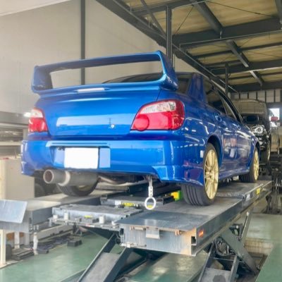 XgDk6's profile picture. 