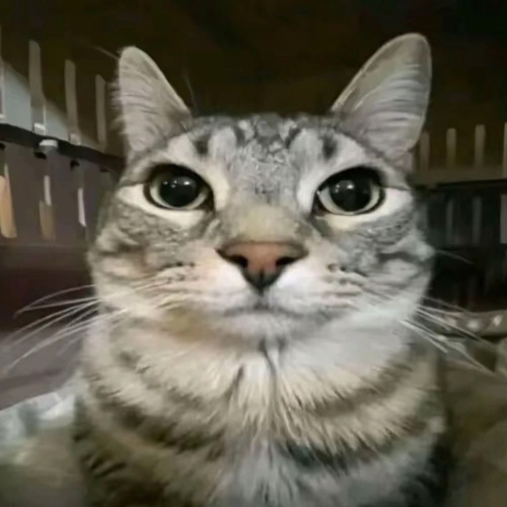 NealKermits89's profile picture. 