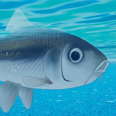 tamorikoVRC's profile picture. @rrrko25vrc ぶいちゃの日常写真を気軽に投稿する用アカウント🐟