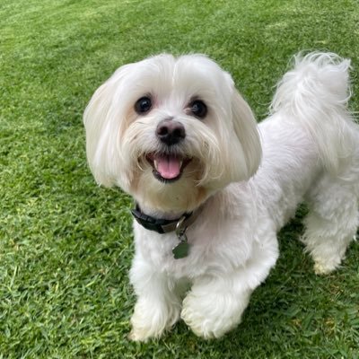 Jason05888857's profile picture. 