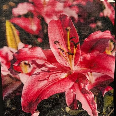 42zxB0sTm257727's profile picture. 起業家/投資家/株/FX/暗号資産/ブロックチェーン/Web3/NFT/トークンエコノミー/IOT/XR/DX/デジタルツイン/メタバース/量子/DAO