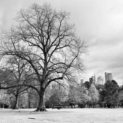 HeyItsNotChris's profile picture. 