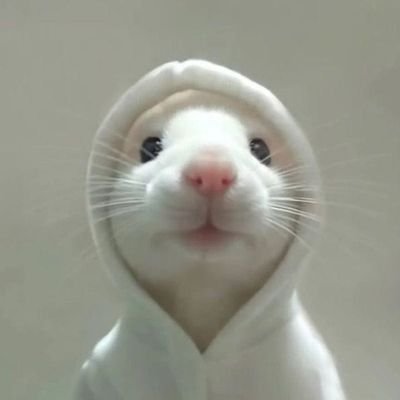Onlyhumanokayyy's profile picture. Anak baik