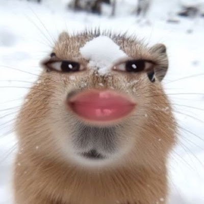 cclemvye65879's profile picture. 