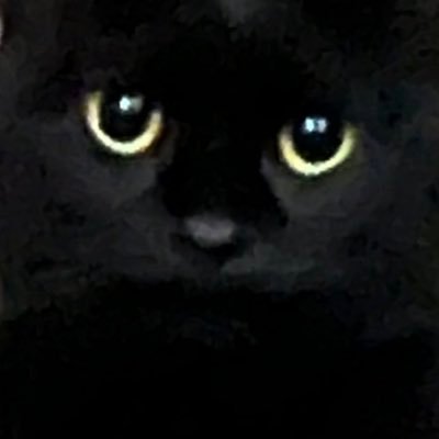 re_frain0104's profile picture. 25sscだった パシフィカからヴィンテラへ