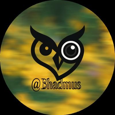 Iconic_Bhadmus's profile picture. Film & Photography Lead, IBIFoundry📸🌍