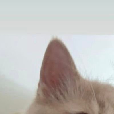 plz read my pinned post💗/my support doesn't limit to home players🏸/feel free to follow unfollow/⚠️PERSONAL acc, views expressed r SOLELY MY OWN/Follow≠Agree⚠️