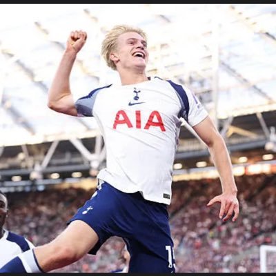 Ssercher's profile picture. Just a Tottenham fan