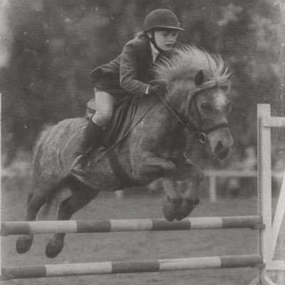 ponyfund's profile picture. crypto trading and selective venture investments