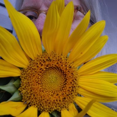 rose4Rog4ever's profile picture. Just a fraction of my old self, I exist in the LH of ME/CFS.
Watching tennis keeps me sane.  Justice for all living things