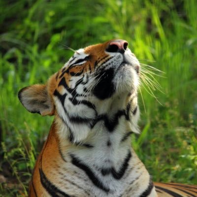 migue_shake's profile picture. 