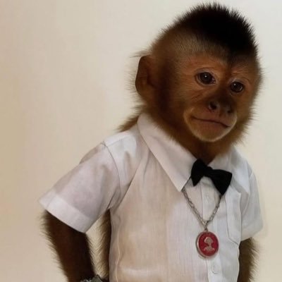 sabam75's profile picture. I am dead inside