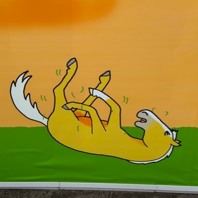 HQAX5k8rlz22262's profile picture. male 25yo Tokyo, Japan