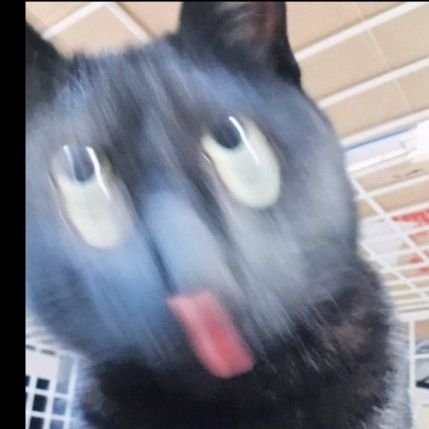 liteNfull Profile Picture