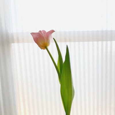 cr__lys's profile picture. 2025.10.3〜 画力アッパー