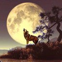 Jim Lott - @rexall111 - Twitter