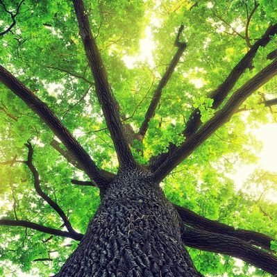 kimhy23287424's profile picture. 