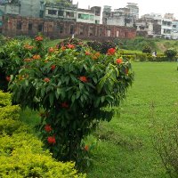 chandona (✸,✸) ⛺ (Ø,G) | Hasbiland 「☄️G☄️」⌘🛠️ π² (@chandona47) 's Twitter Profile Photo