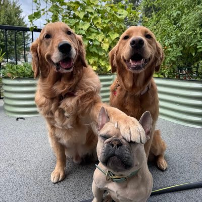 JasperThirteen's profile picture. Father, son and friend. Faith driven…