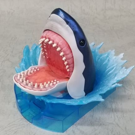 フカ🦈さんのプロフィール画像