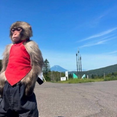 BeeebSauce's profile picture. Let’s Break Buds 🍃 🍁