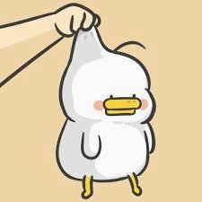 cannet10159050's profile picture. 不要小看 🌸 返佣 👍 ,积少成多! 不做返佣 🌟 手续费 💼 也是全部付给交易所了!
各大 🔥 交易所 🔥 返佣 🔥 联系：
QQ：2977672970
电报：https://t.co/422JzzH1Wl