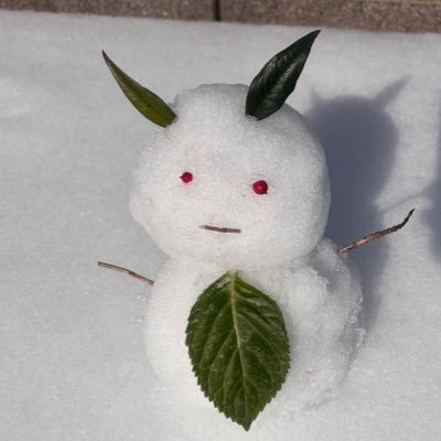 Ninjaaaaaaaa400's profile picture. Ninja400 / 04