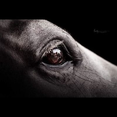 KokououoU's profile picture. Mi piace il sesso e mi piace avere molti amici