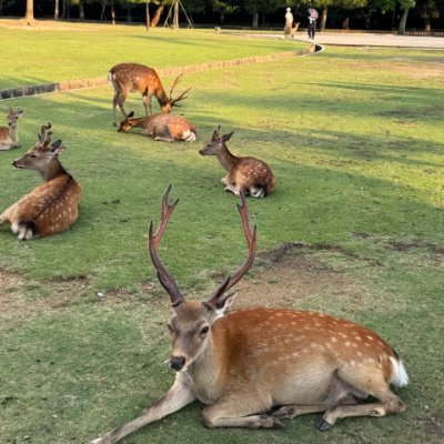 fbaeq11926125's profile picture. ヨガで呼吸を整えると心も体も軽くなり、毎日が前向きになります。