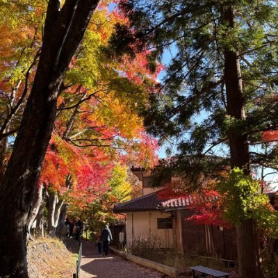 drzcg48599971's profile picture. 自転車に乗って風を感じる瞬間が、私にとって自由そのものです