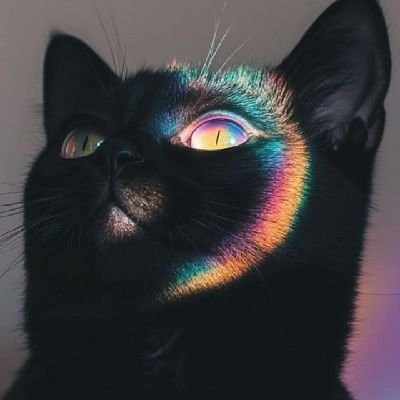 Fernさんのプロフィール画像