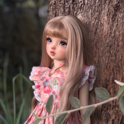 gateau_nantais's profile picture. 성인 / 인형 & 일상✨