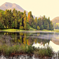 JohnnyGarz69489's profile picture. 副業でアート活動中中です。家族思い、安定志向、誠実な私はボルダリング、フェス参加、筋トレ、プラネタリウムに情熱を注いでいます。