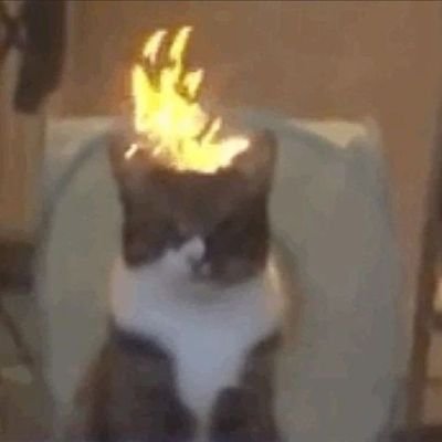 tinkays_'s profile picture. you never saw me