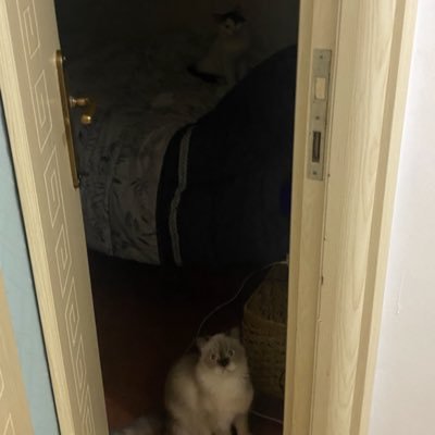 sumrueney's profile picture. 